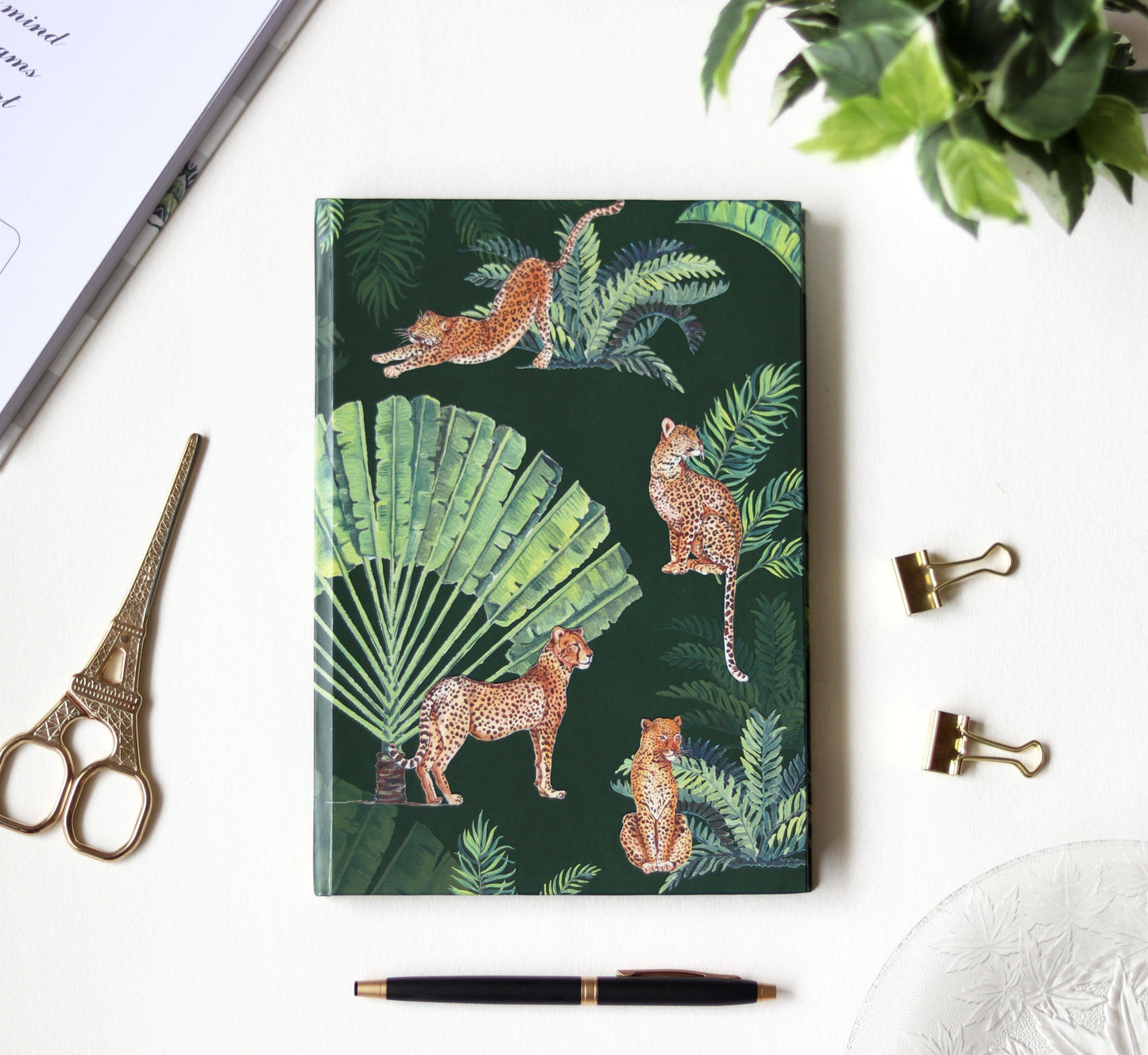 The Leopard Print Diary - Strokes by Namrata Mehta
