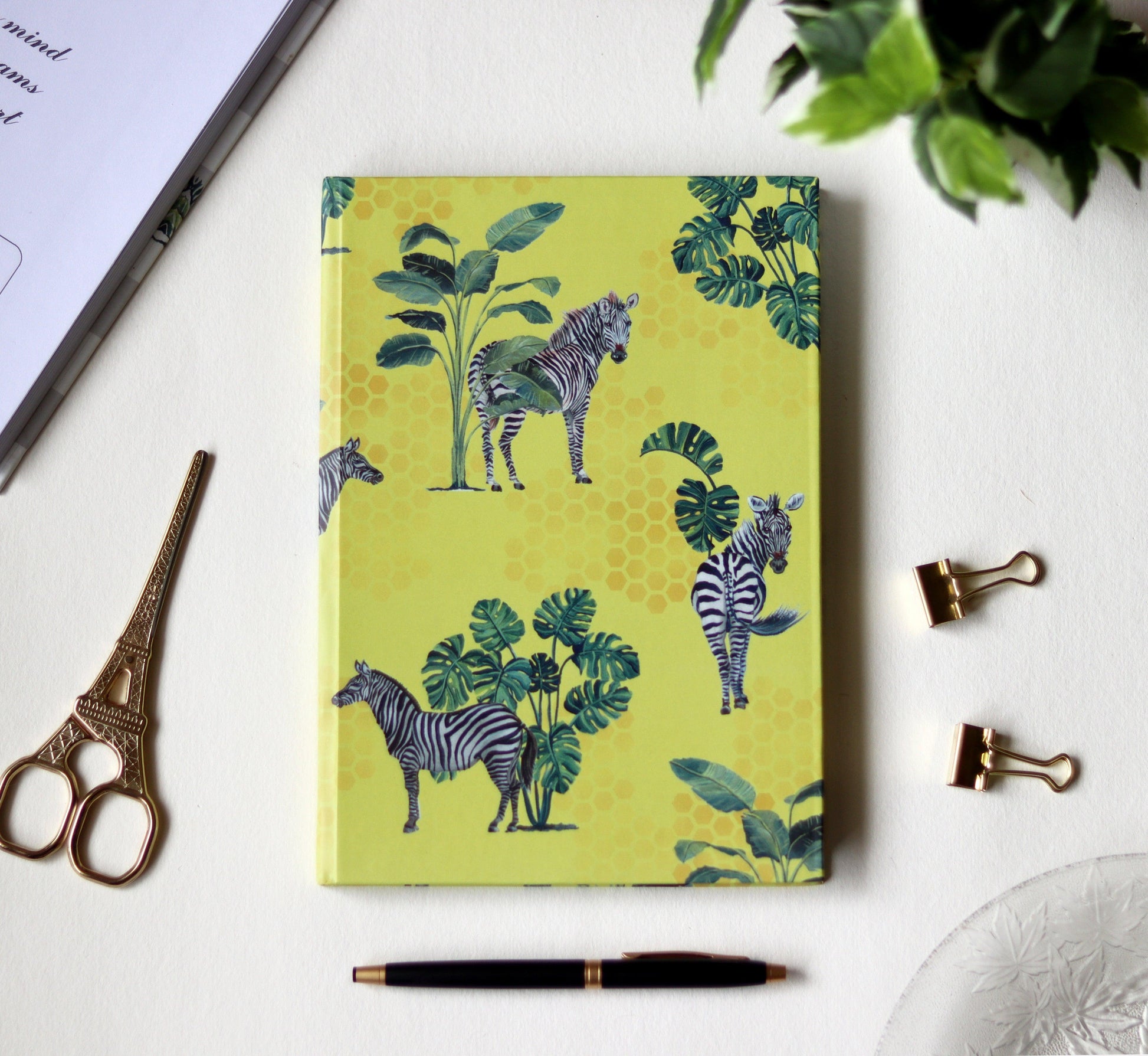 The Zebra Print Diary - Strokes by Namrata Mehta